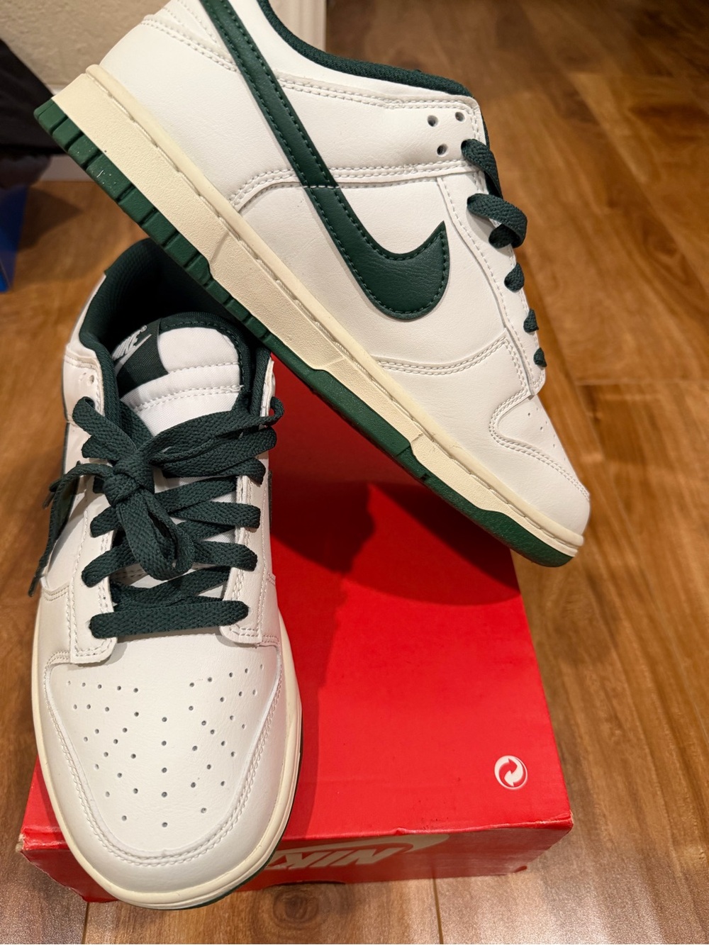 Nike Jordan 1 Lows